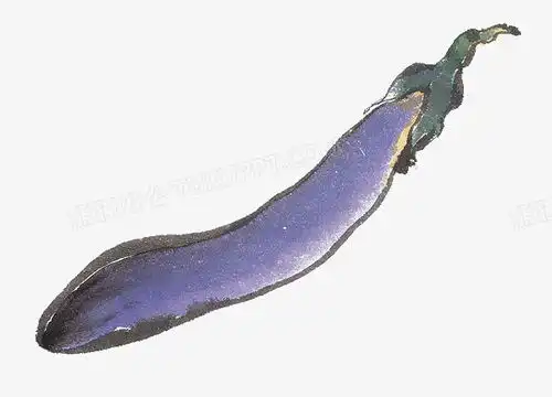 新鲜茄子png图片素材免费下载png格式600432像素熊猫办公
