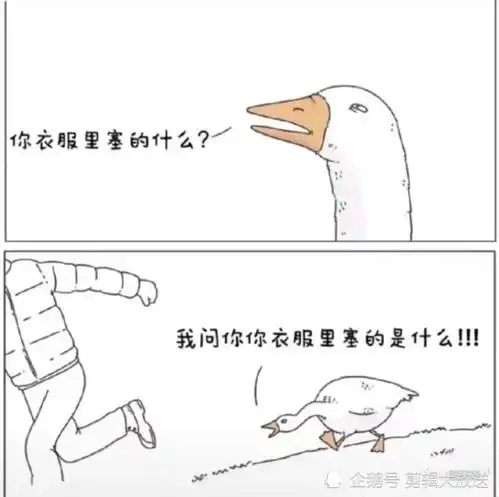 本周最佳段子大鹅为什么会一直追着你跑,哈哈哈,太搞笑