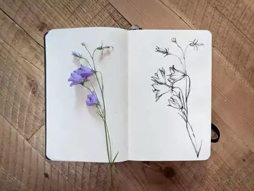 简单的线条,超美的画