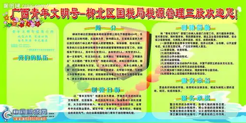 广西青年文明号柳北区国税局税源管理三股宣传板报
