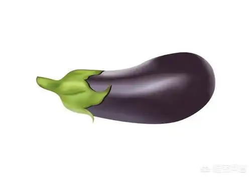 怎样做红烧茄子