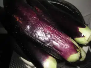 肉末炖茄子的做法,肉末炖茄子怎么做好吃,肉末炖茄子的家常做法一心qz