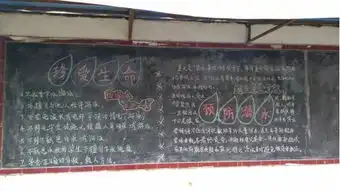 安全教育进校园,护花护校在行动