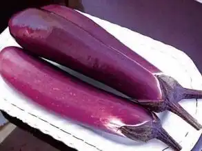 茄子把蒂治疗咳嗽