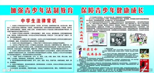 青少年法制教育设计图