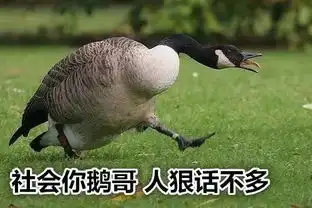 又到了加拿大鹅为了孩子痛扁人类的时候了想幸免于难的正确姿势如下......