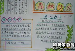 小学生森林防火征文范文5篇
