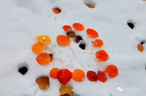 醉人秋色红叶沟