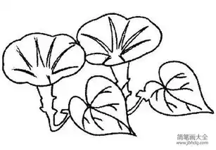 花朵简笔画美丽的牵牛花简笔画图片