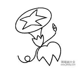 花朵简笔画美丽的牵牛花简笔画图片