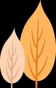 错过等一年金山这里的枫景独好