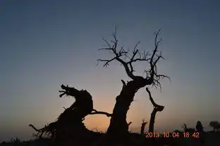 2013额济纳秋色
