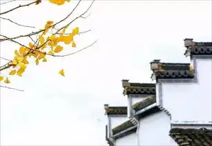 11月18日24日婺源金秋红叶古徽州秋色七天双飞摄影创作团