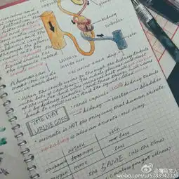 美女学霸因手抄笔记走红字如其人精美如画