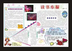读书小报简报手抄报图片素材cdr模板下载5.00mb其他大全读书手抄报