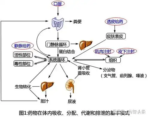 admet在药物研发中的重要性