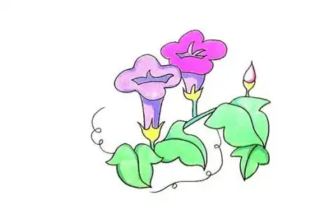 喇叭花简笔画
