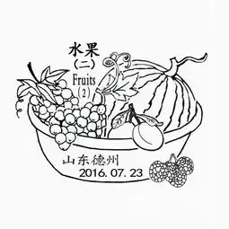 水果图案简笔画观念