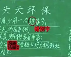 湖北政府发300万本盗版字典采购价格竟高于零售价