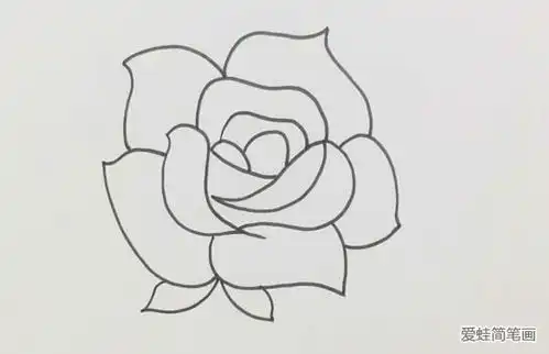 玫瑰花简笔画