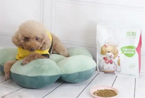 泰迪狗粮推荐