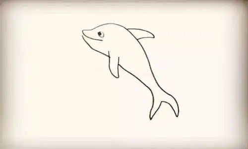 简笔画海豚