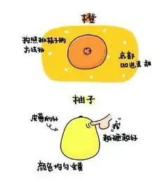 图解教你挑水果