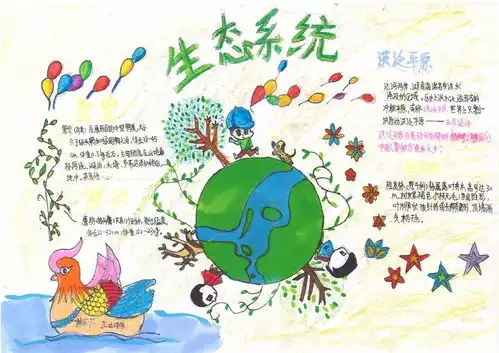 专题活动每个孩子都该有个龙猫森林青少年环保大使行动及教育项目活动掠影