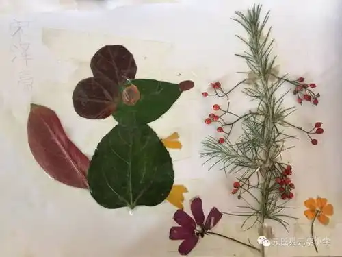 抓住秋天的尾巴,寻最后一抹秋色