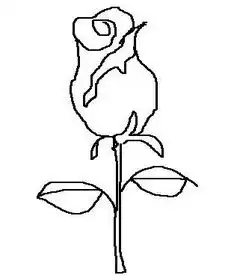 玫瑰怎样画签字笔画