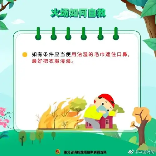 森林防火牢记这些知识