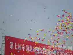 高邮市信鸽协会为第七届中国双黄鸭蛋节放彩鸽现场
