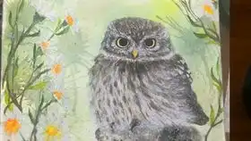 海浪黄昏云朵教程