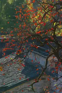古徽州秋色