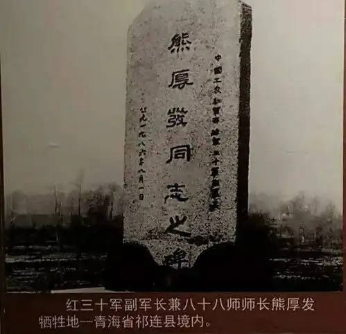 当兵3年就是团长,20岁升师长,临别前他只要求开一封介绍信