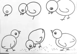 小鸡怎么画小鸡简笔画技巧有没有画的