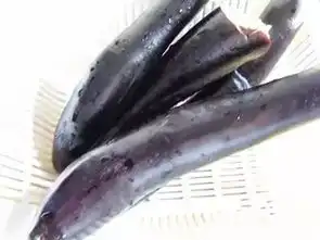 这样的茄子,你吃过吗给你的家人收藏起来吧