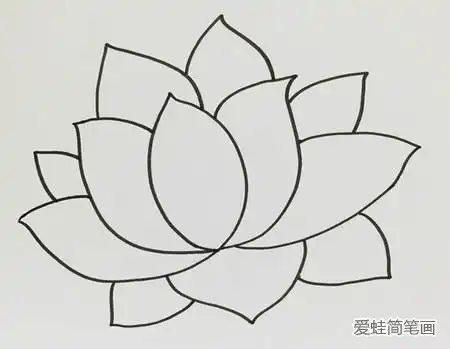 荷花简笔画步骤图解