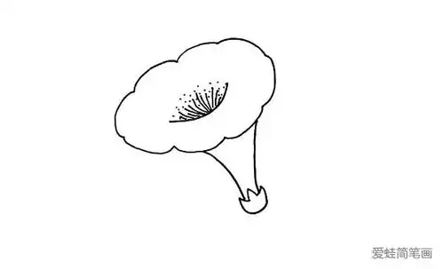 喇叭花简笔画