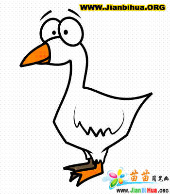 如何画鹅简笔画图片教程第3张