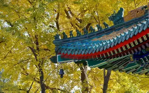 香山最美秋景