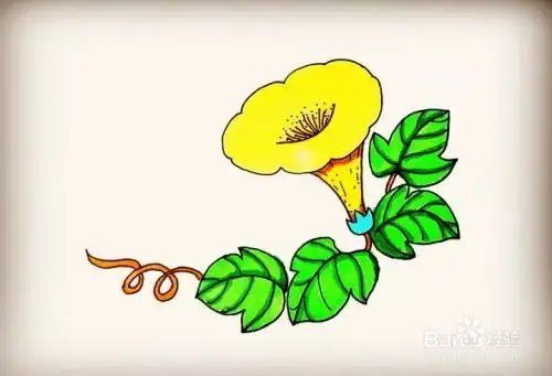 简笔画怎么画喇叭花