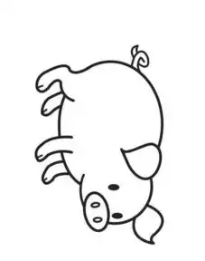 100种动物简笔画画法,拿去临摹