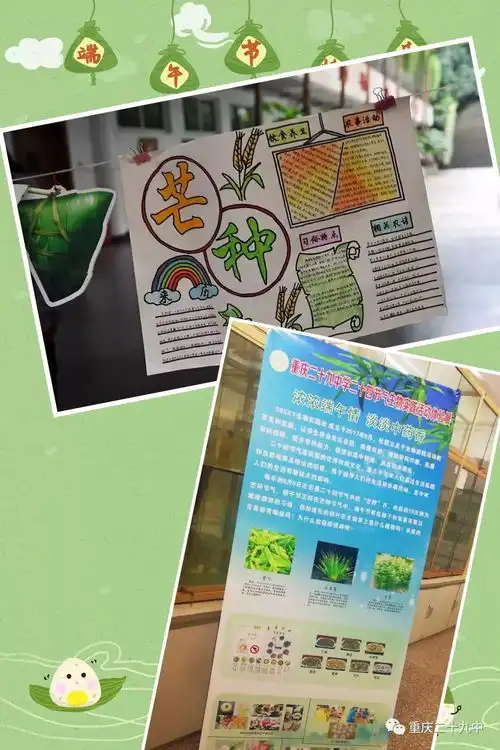 精彩校园浓浓端午情,淡淡中药香重庆二十九中二十四节气生物实践活动体验展