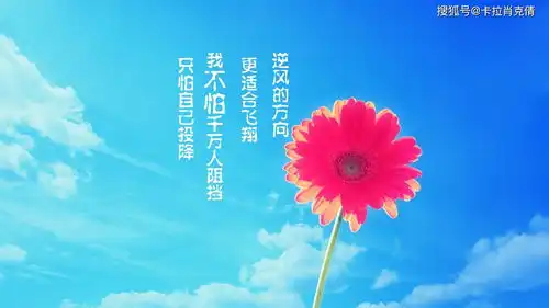 高考冲刺倒计时壁纸赏析,另外赠送高考数学真题全刷基础2000题和决胜800题