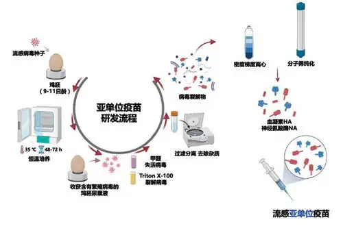 流感季来临,我们应该如何打疫苗