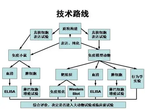 欧美mrna疫苗实现弯道超车,中国的疫苗研发之路通向何方