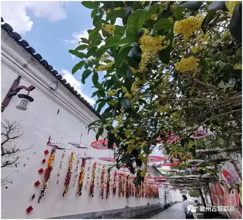 徽州最美的秋色藏在这里
