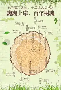 添书香赏秋景南京高校古树名木赏游线路图推荐