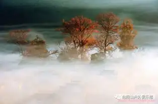 11月17日19日篁岭晒秋宏村老街塔川秋色石城雾枫菊径烟火樟村古桥两天三夜招募帖